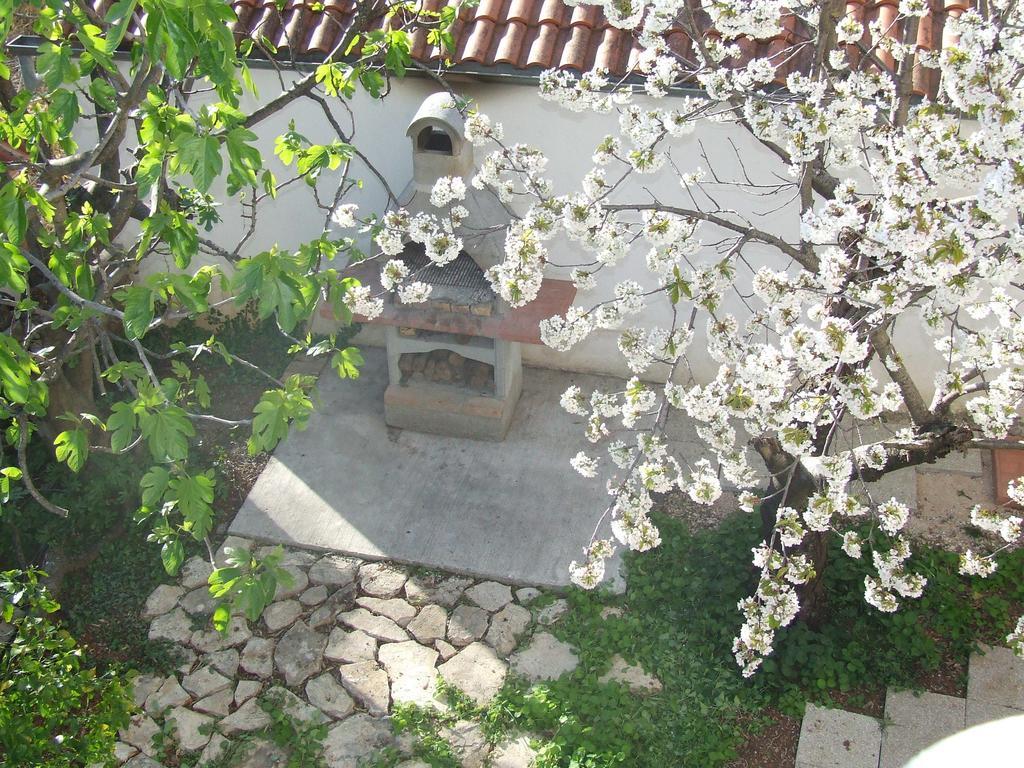 Villa Dalmatia Zára Kültér fotó
