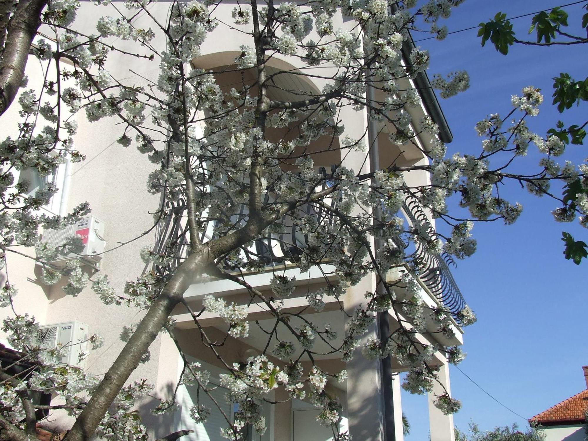 Villa Dalmatia Zára Szoba fotó