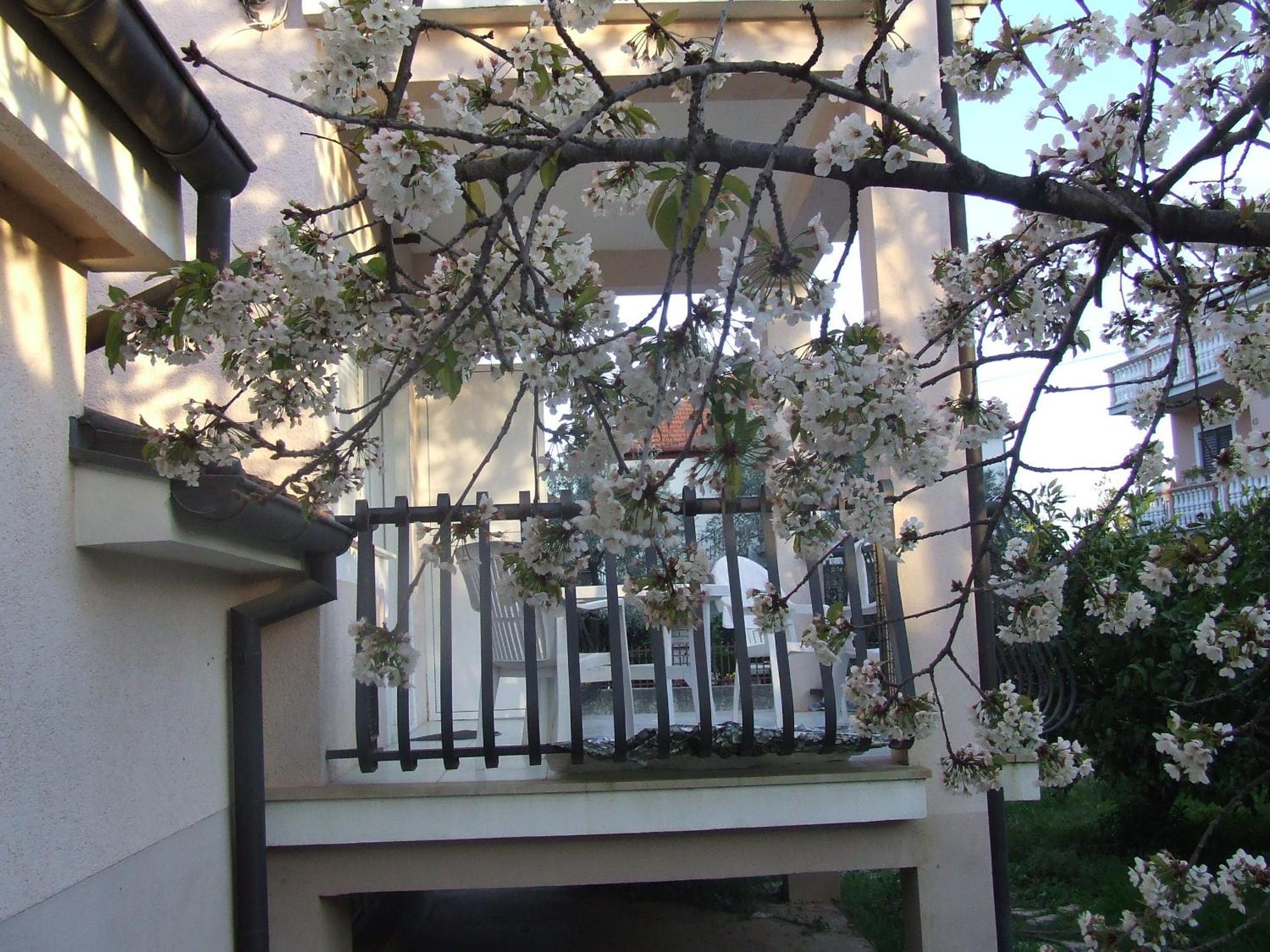 Villa Dalmatia Zára Szoba fotó